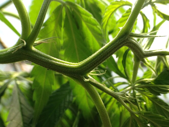 Growreport Bild 2
