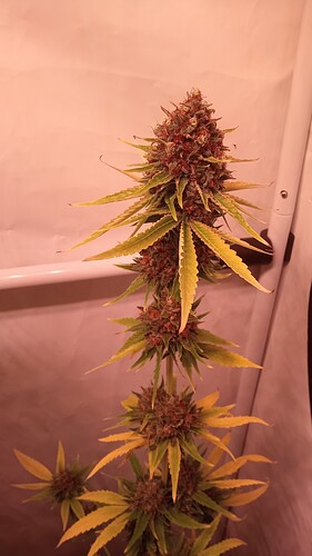 Growreport Bild 10