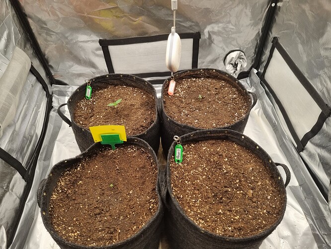 Growreport Bild 16
