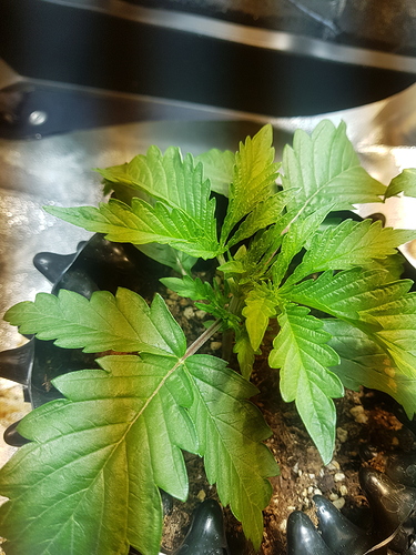 Growreport Bild 15
