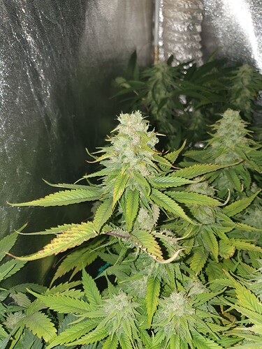 Growreport Bild 11