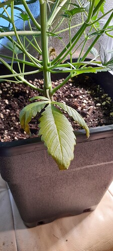 Growreport Bild 14