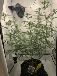 Growreport Bild 11