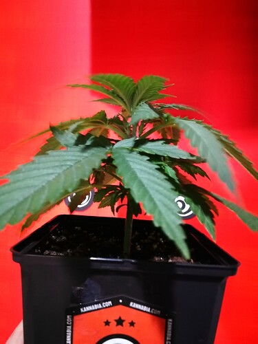 Growreport Bild 10