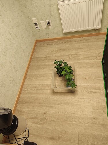Growreport Bild 3