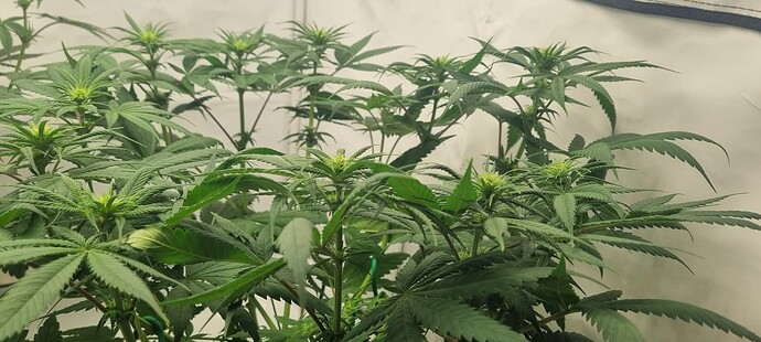 Growreport Bild 14