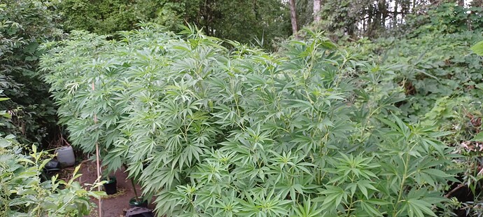 Growreport Bild 14