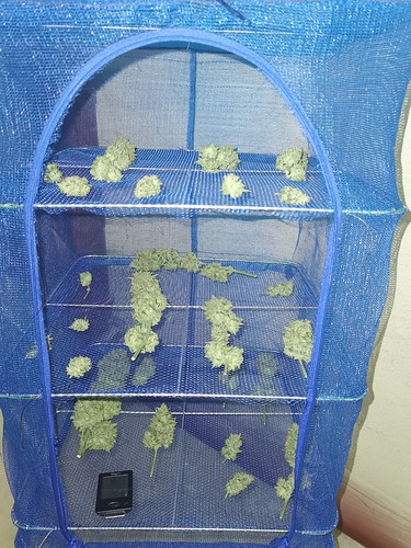 Growreport Bild 8