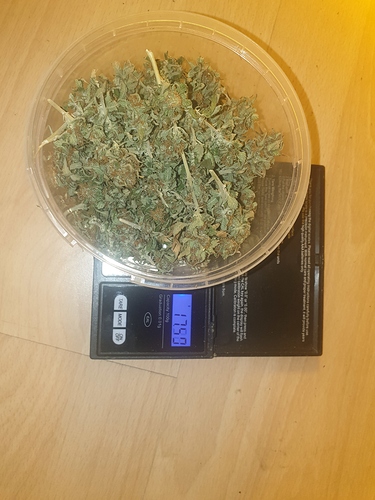 Growreport Bild 19