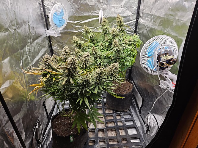 Growreport Bild 20