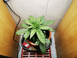 Growreport Bild 10