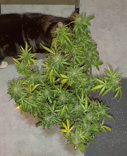 Growreport Bild 8
