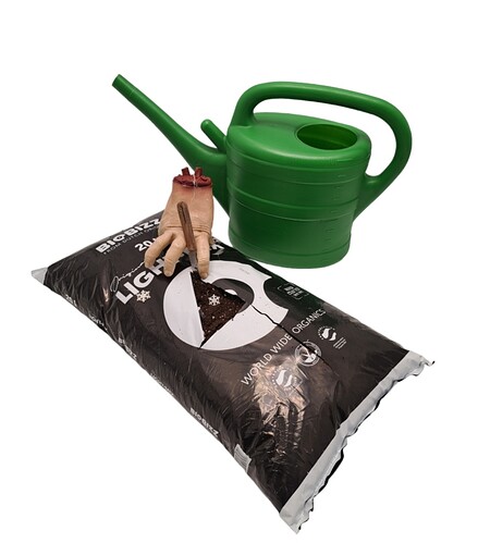 Screenshot_20231124_130517