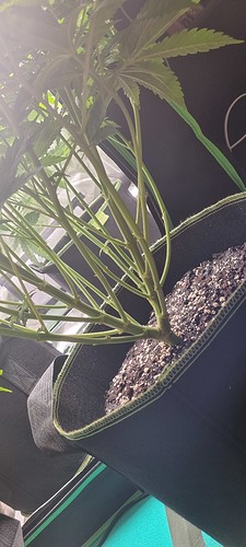 Growreport Bild 2