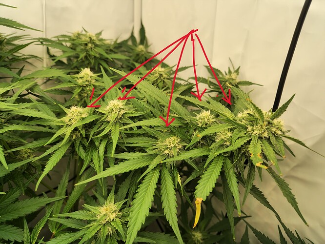 Growreport Bild 4