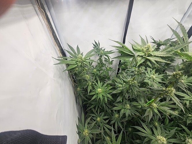Growreport Bild 10
