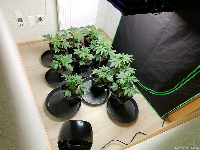Growreport Bild 8