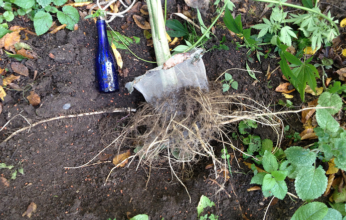 Growreport Bild 10