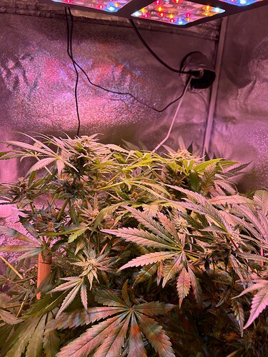 Growreport Bild 15