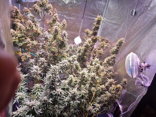 Growreport Bild 20