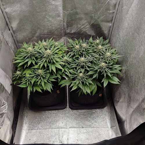 Growreport Bild 11