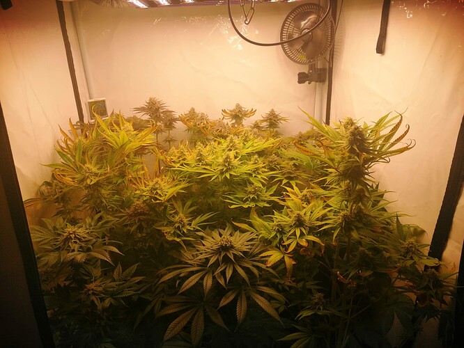 Growreport Bild 5