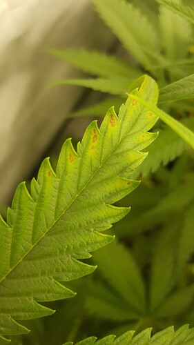 Growreport Bild 11