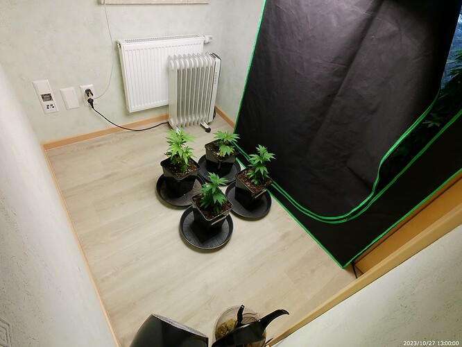 Growreport Bild 25