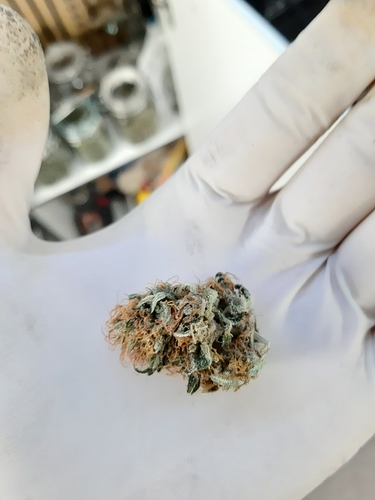 Growreport Bild 9