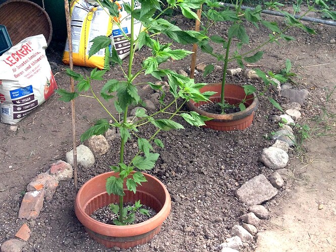 Growreport Bild 21