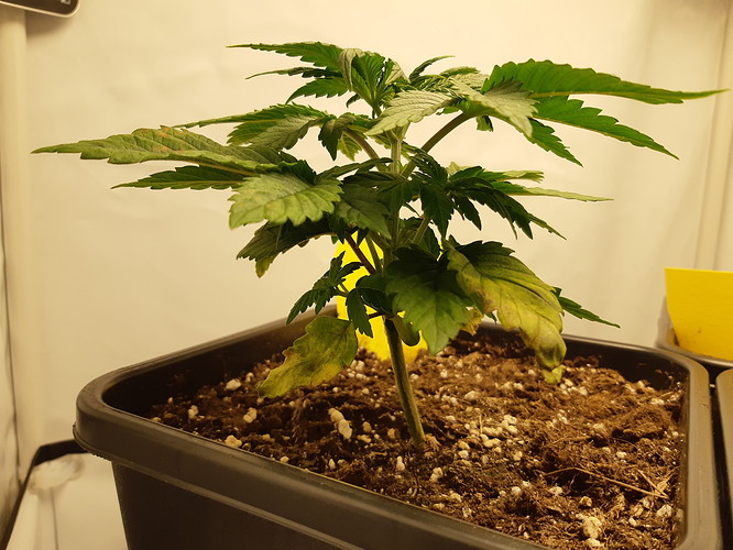 Growreport Bild 17