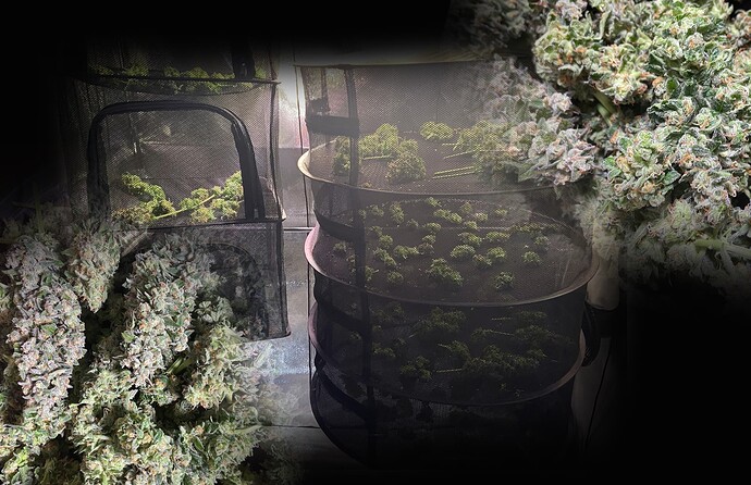 Growreport Bild 17