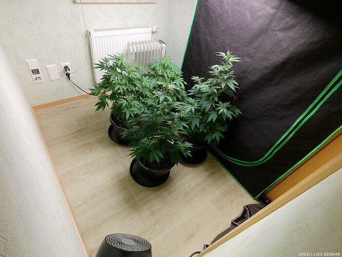 Growreport Bild 20