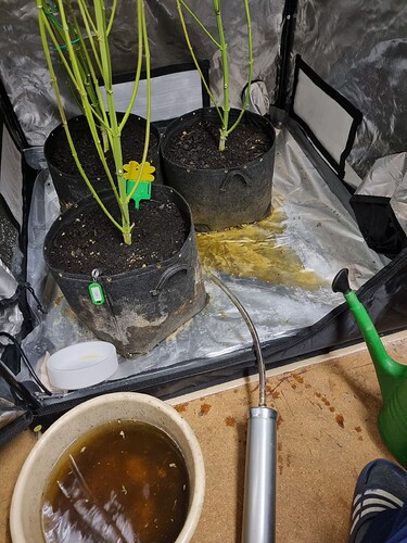 Growreport Bild 3