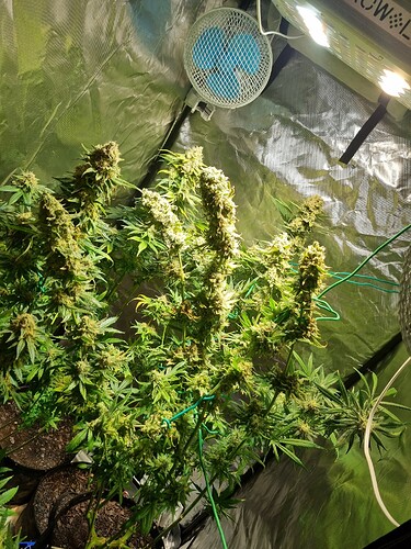 Growreport Bild 16
