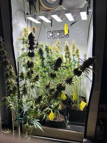 Growreport Bild 2