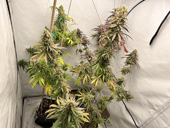 Growreport Bild 11