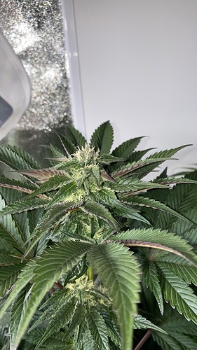 Growreport Bild 16