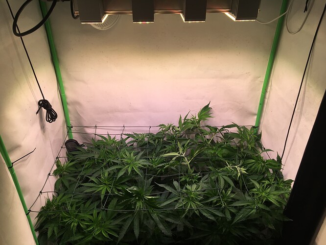 Growreport Bild 4