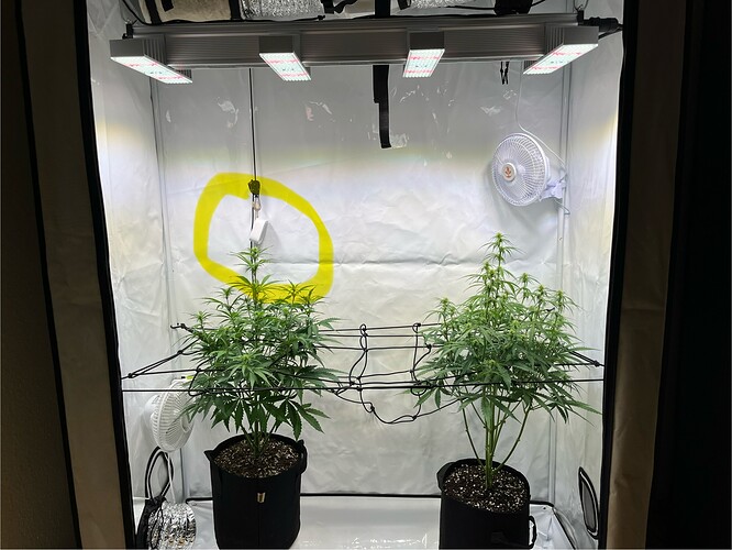 Growreport Bild 27