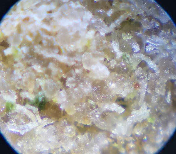 Growreport Bild 75