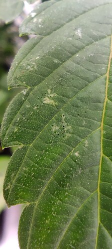 IMG_20221107_213617