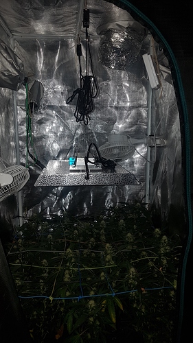 Growreport Bild 4