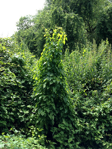 vt92-32_3
