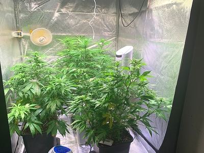 Growreport Bild 24
