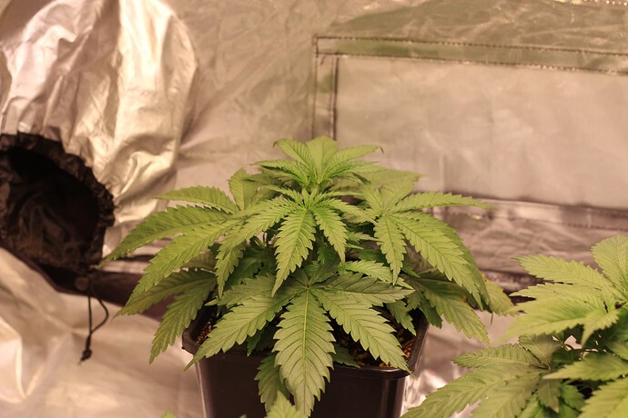 Growreport Bild 6