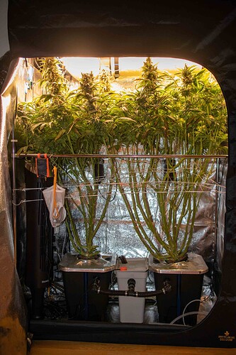 Growreport Bild 15