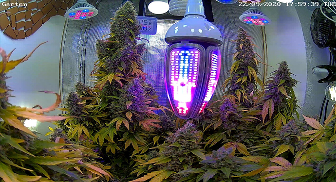 Growreport Bild 8