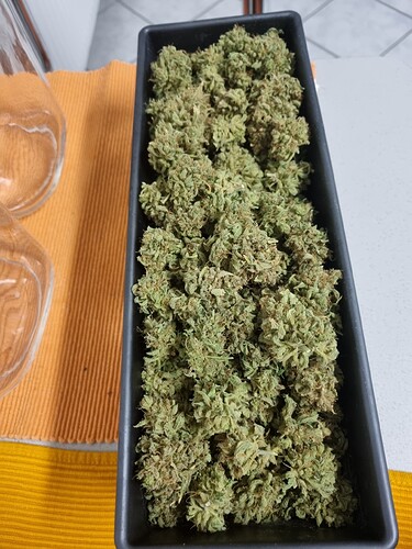 Growreport Bild 9