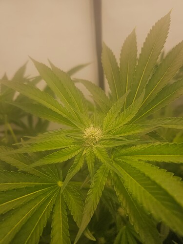 Growreport Bild 11